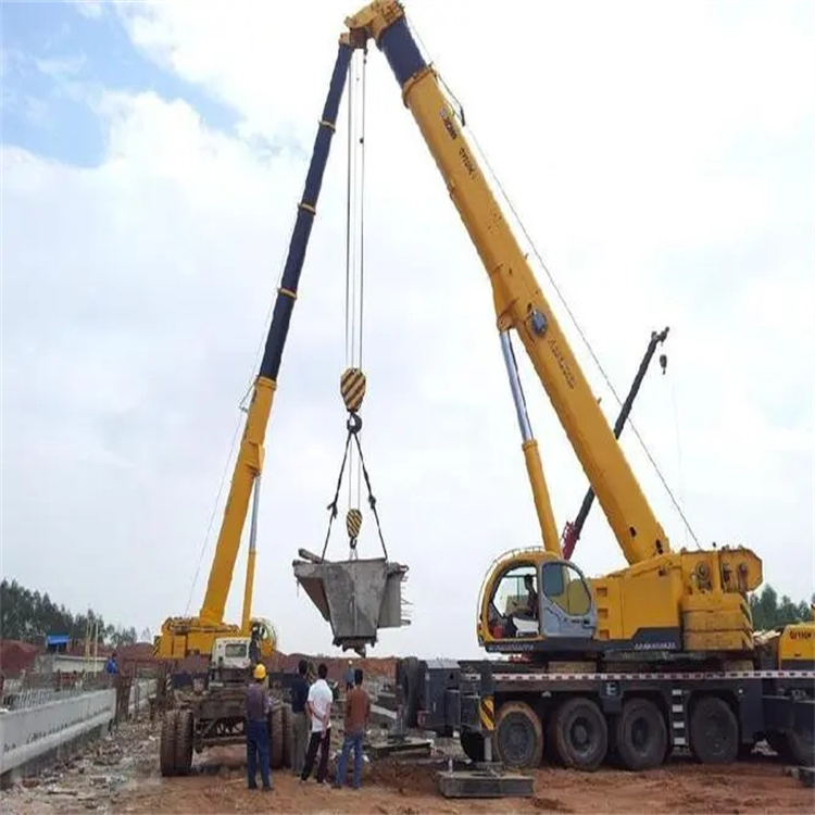 上安乡小型吊机出租电话|厂房设备吊装方案|24小时服务覆盖